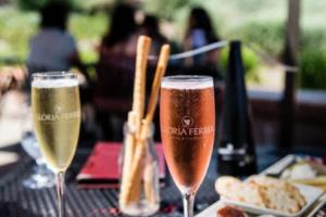 欧洲杯2026，法国将再次引领全球足球盛事欧洲杯2026是哪个国家