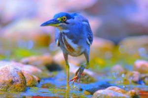 2022年卡塔尔世界杯预选赛赛程全解析世界杯预选赛赛程